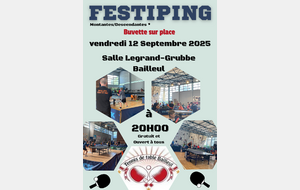 Festi ping